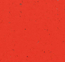 Кварцвиниловые полы Forbo Allura Colour C68032 фото 1 | FLOORDEALER