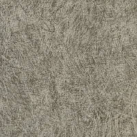 Линолеум Lino Fatra Efekt efekt_2014_3 фото 1 | FLOORDEALER