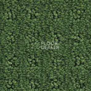 Ковролин Balsan Patio Patio 280 фото 1 | FLOORDEALER