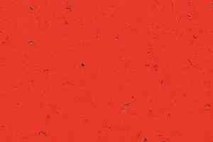 Кварцвиниловые полы Forbo Allura Colour C68032 фото  | FLOORDEALER