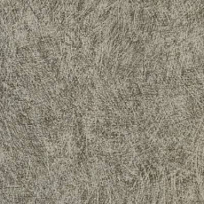 Линолеум Lino Fatra Efekt efekt_2014_3 фото 1 | FLOORDEALER