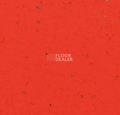 Кварцвиниловые полы Forbo Allura Colour C68032 фото 1 | FLOORDEALER
