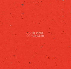 Кварцвиниловые полы Forbo Allura Colour C68032 фото 1 | FLOORDEALER