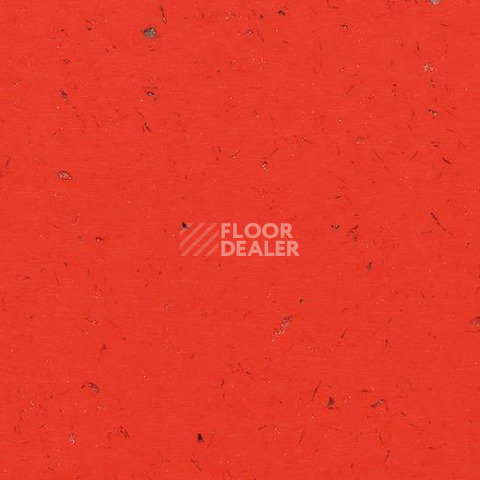 Кварцвиниловые полы Forbo Allura Colour C68032 фото 1 | FLOORDEALER