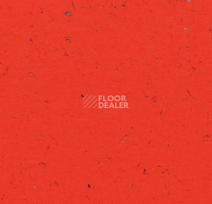 Кварцвиниловые полы Forbo Allura Colour C68032 фото 1 | FLOORDEALER