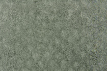 Forbo Emerald Standart 72423 фото 2 | FLOORDEALER