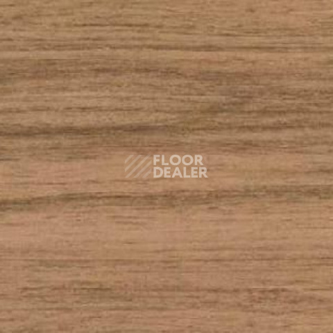 Плинтус Dollken EP 60/13 2637 фото 2 | FLOORDEALER