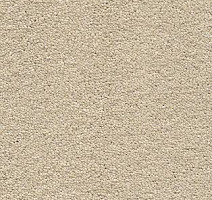 Ковролин AW Vivendi Vibes 33 фото 1 | FLOORDEALER