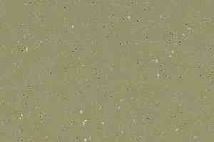 Линолеум Forbo SafeStep R11 174542 moss фото  | FLOORDEALER