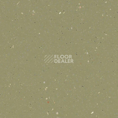 Линолеум Forbo SafeStep R11 174542 moss фото 1 | FLOORDEALER