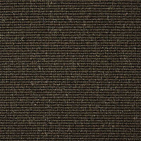 Ковролин Carpet Concept Eco Wool 595035 фото 1 | FLOORDEALER