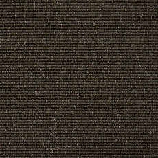 Ковролин Carpet Concept Eco Wool 595035 фото 1 | FLOORDEALER