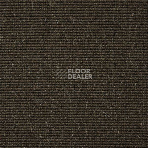 Ковролин Carpet Concept Eco Wool 595035 фото 1 | FLOORDEALER
