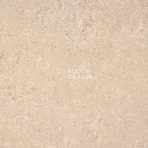Eco Cork MADEIRA CREME фото 2 | FLOORDEALER