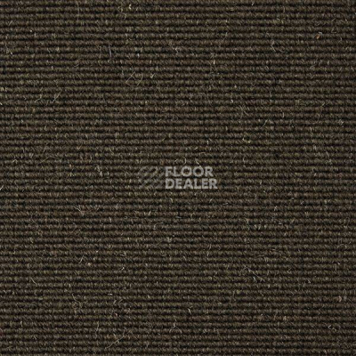 Ковролин Carpet Concept Eco Wool 595035 фото 1 | FLOORDEALER