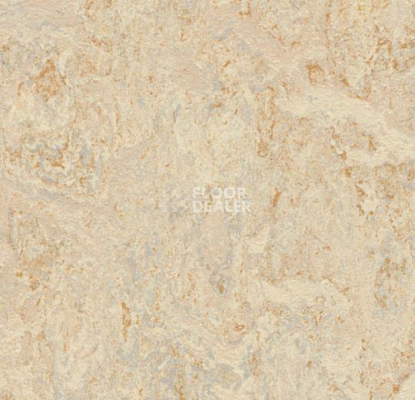 Линолеум Forbo Marmoleum Decibel 312035 rosato фото 1 | FLOORDEALER