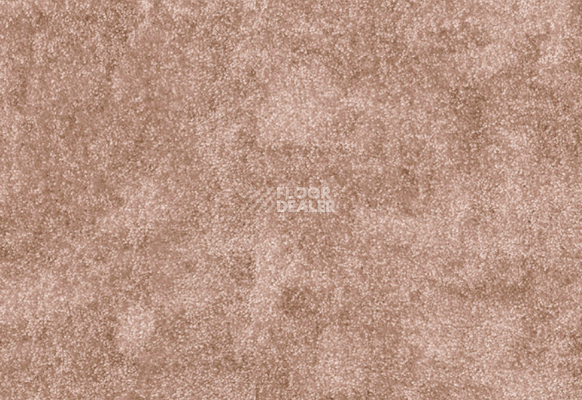 Ковролин AW Masquerade Vittorio 36 фото 1 | FLOORDEALER