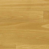 Линолеум Novoflor Standard 4300_9 фото 1 | FLOORDEALER