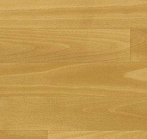 Линолеум Novoflor Standard 4300_9 фото 1 | FLOORDEALER