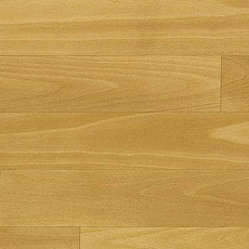 Линолеум Novoflor Standard 4300_9 фото 1 | FLOORDEALER