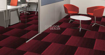 Ambient Ambient 524 фото 2 | FLOORDEALER