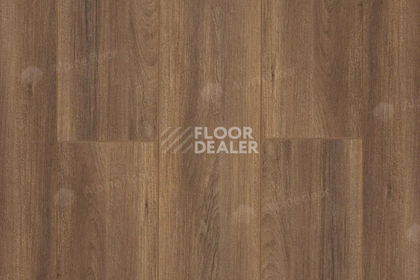 Ламинат Alpine Floor Premium 10мм P1004  ОРЕХ фото 1 | FLOORDEALER