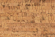 Пробковое покрытие Corkwise LINEA фото 1 | FLOORDEALER