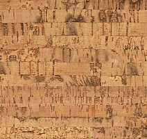 Пробковое покрытие Corkwise LINEA фото 1 | FLOORDEALER