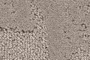 Ковролин Balsan Monaco 710 фото  | FLOORDEALER