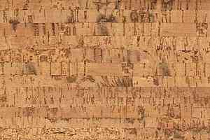 Пробковое покрытие Corkwise LINEA фото  | FLOORDEALER