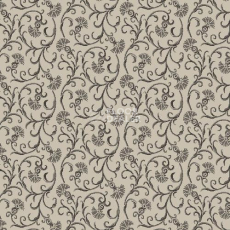 Ковролин Agnella Natural Asami Light Grey фото 1 | FLOORDEALER