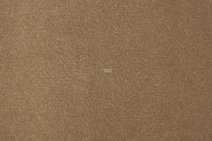 Vorwerk Passion 1000/Modena Vorwerk 8e93 фото 2 | FLOORDEALER