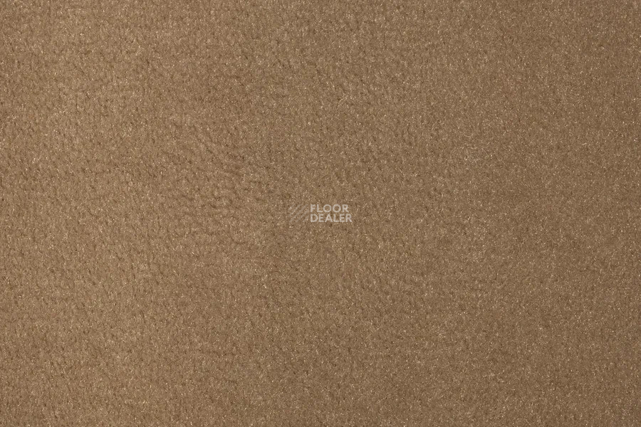 Vorwerk Passion 1000/Modena Vorwerk 8e93 фото 2 | FLOORDEALER