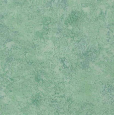 Линолеум Lg Calmpasso CP 93404 фото 1 | FLOORDEALER