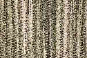 Ковролин Ege Reform Legend 0778022 фото  | FLOORDEALER