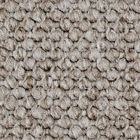 Ковролин Carpet Concept Eco Cut 40641 фото 1 | FLOORDEALER