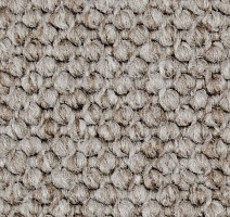 Ковролин Carpet Concept Eco Cut 40641 фото 1 | FLOORDEALER