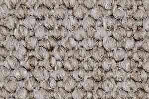 Ковролин Carpet Concept Eco Cut 40641 фото  | FLOORDEALER