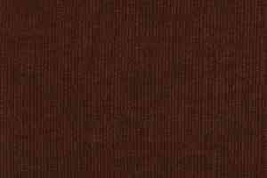 Ковролин Tapibel Secura 4821 фото  | FLOORDEALER