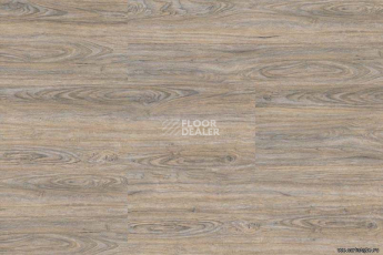 Corkstyle Wood CORK OAK LEACHED фото 4 | FLOORDEALER