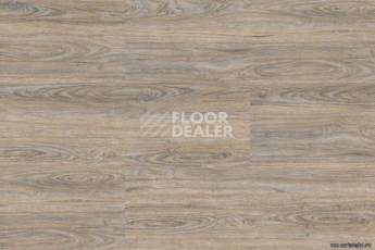 Wood CORK OAK LEACHED фото 4 | FLOORDEALER