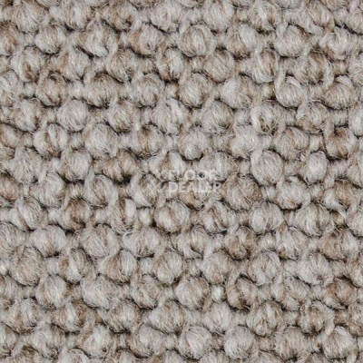 Ковролин Carpet Concept Eco Cut 40641 фото 1 | FLOORDEALER