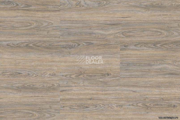 Пробковое покрытие Corkstyle Wood CORK OAK LEACHED фото 4 | FLOORDEALER