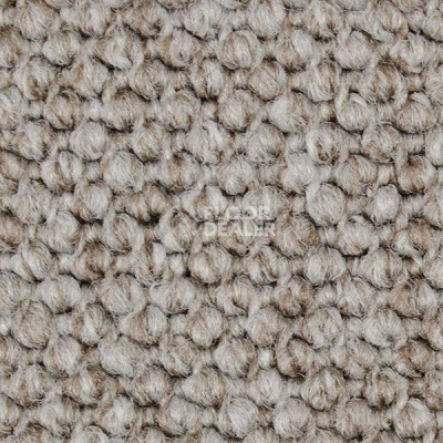 Ковролин Carpet Concept Eco Cut 40641 фото 1 | FLOORDEALER