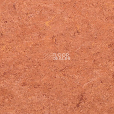 Линолеум Gerflor Marmorette DLW 2.5mm 0019 Sunset Orange фото 1 | FLOORDEALER