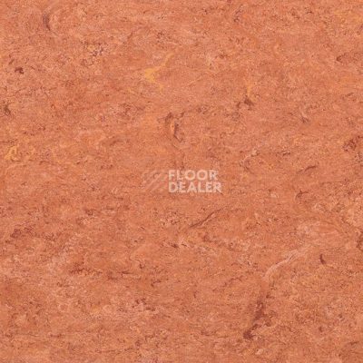 Линолеум Marmorette DLW 2.5mm 0019 Sunset Orange фото 1 | FLOORDEALER