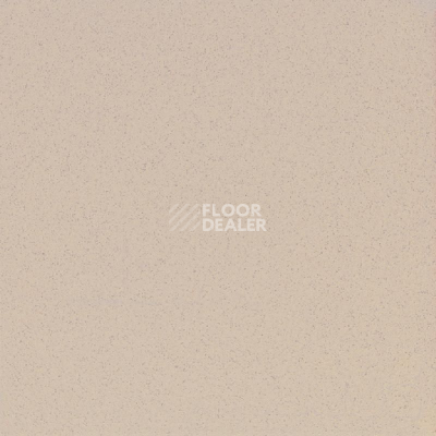 Керамогранит Standard Керамогранит 60x60x10 st 17 60x60 Непол.Рект. (Керамический гранит) фото 1 | FLOORDEALER