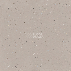 Линолеум Tarkett iQ Lyra 504 фото 1 | FLOORDEALER