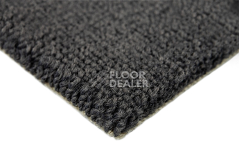 Balsan Les Best S 993 фото 4 | FLOORDEALER