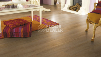 Kronotex Robusto 12мм d4955 Дуб Натуральный Премиум фото 6 | FLOORDEALER